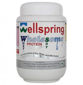 Wellspring Wholesome Whey Protein Soy Milk  Plastic Jar  600 grams